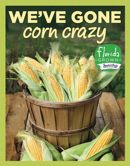 Posters: Corn Crazy
