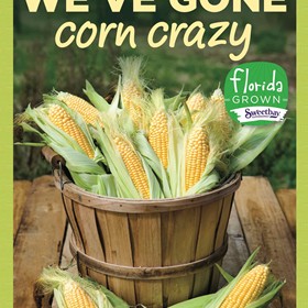 Posters: Corn Crazy